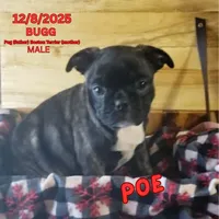 processed/c2b6c220-3f87-460d-8207-64a7112b3fff/listing/c74c7d9e-6357-4ee4-bb9c-2e179c18b9bd/abb8b7cd-decd-4d11-884a-9675510dfede