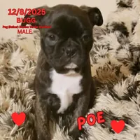 processed/c2b6c220-3f87-460d-8207-64a7112b3fff/listing/c74c7d9e-6357-4ee4-bb9c-2e179c18b9bd/af1a2607-6358-4478-b879-2083a90fbf85