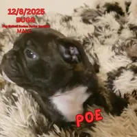 processed/c2b6c220-3f87-460d-8207-64a7112b3fff/listing/c74c7d9e-6357-4ee4-bb9c-2e179c18b9bd/b410f1b3-c558-49cf-aa9d-4565a9918a6c