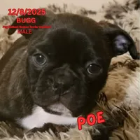 processed/c2b6c220-3f87-460d-8207-64a7112b3fff/listing/c74c7d9e-6357-4ee4-bb9c-2e179c18b9bd/b930fc7d-4cc5-494d-a69b-f02d8ebb960d