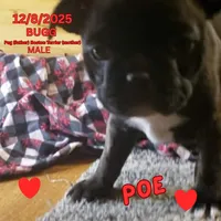 processed/c2b6c220-3f87-460d-8207-64a7112b3fff/listing/c74c7d9e-6357-4ee4-bb9c-2e179c18b9bd/f1c31b13-6b8b-4d4d-9a54-d7738253f315