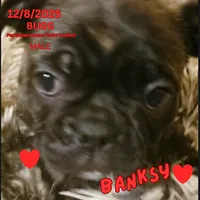 processed/c2b6c220-3f87-460d-8207-64a7112b3fff/listing/cfc3da97-f801-4af3-b7b0-72450427e493/5ccc4896-756a-49a9-90d6-42ff960f0c5e