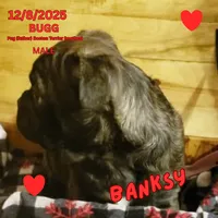 processed/c2b6c220-3f87-460d-8207-64a7112b3fff/listing/cfc3da97-f801-4af3-b7b0-72450427e493/9e1cbe7c-3ffb-4525-b687-7c0644cf33d5