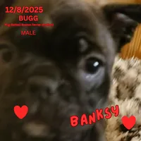 processed/c2b6c220-3f87-460d-8207-64a7112b3fff/listing/cfc3da97-f801-4af3-b7b0-72450427e493/b0bae822-a0b7-45c0-a8f7-85066fa7c3d1