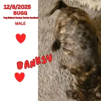 processed/c2b6c220-3f87-460d-8207-64a7112b3fff/listing/cfc3da97-f801-4af3-b7b0-72450427e493/b8a23576-c6bb-44e0-ac9d-15b451cf7a6f