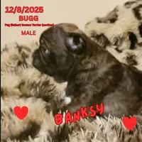 processed/c2b6c220-3f87-460d-8207-64a7112b3fff/listing/cfc3da97-f801-4af3-b7b0-72450427e493/f349eddd-1055-4165-a5f7-a84bb788f08b