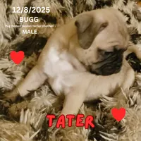 processed/c2b6c220-3f87-460d-8207-64a7112b3fff/listing/e85b0ae9-fa19-4302-bbaa-3a2131bf65ad/2d2453bd-3532-4876-bd2b-1b82b208b9c2