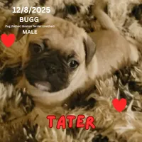 processed/c2b6c220-3f87-460d-8207-64a7112b3fff/listing/e85b0ae9-fa19-4302-bbaa-3a2131bf65ad/38fbf791-69fd-4e82-a109-89f127587636