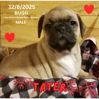 processed/c2b6c220-3f87-460d-8207-64a7112b3fff/listing/e85b0ae9-fa19-4302-bbaa-3a2131bf65ad/48bd1f71-b903-4811-944b-53cde8ad9312