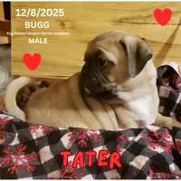 processed/c2b6c220-3f87-460d-8207-64a7112b3fff/listing/e85b0ae9-fa19-4302-bbaa-3a2131bf65ad/78c38121-b848-4ce7-bd2e-304dc5a353a1