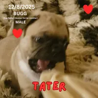 processed/c2b6c220-3f87-460d-8207-64a7112b3fff/listing/e85b0ae9-fa19-4302-bbaa-3a2131bf65ad/7bbf74fc-8c22-481a-977a-0e08b4b44a86