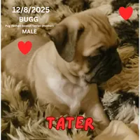 processed/c2b6c220-3f87-460d-8207-64a7112b3fff/listing/e85b0ae9-fa19-4302-bbaa-3a2131bf65ad/9bc78c31-7da0-4004-8ce4-a3ad8279fdc5