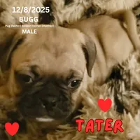 processed/c2b6c220-3f87-460d-8207-64a7112b3fff/listing/e85b0ae9-fa19-4302-bbaa-3a2131bf65ad/c2e332c9-8512-4038-8fd7-cc124b0fb909