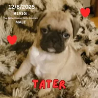 processed/c2b6c220-3f87-460d-8207-64a7112b3fff/listing/e85b0ae9-fa19-4302-bbaa-3a2131bf65ad/fea59b2a-6e62-4422-a518-a92aa482d2db