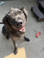 processed/c2b6e2f6-ff00-424d-93dd-c9c9fd622a33/facility/96e95d83-8892-49fa-9245-9f589a0c1485