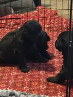 processed/c2b6e2f6-ff00-424d-93dd-c9c9fd622a33/facility/b2aea97c-c392-4429-8ce4-69d33157ff41