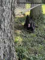 processed/c2b6e2f6-ff00-424d-93dd-c9c9fd622a33/facility/b51c7bfd-83a1-44ae-bcc4-27bb9f3bf5eb