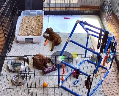 Facility video