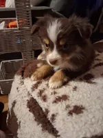 processed/c2c54c2a-48f7-4e45-97d7-1c1098c2eda4/listing/8ebacfe1-1718-4953-b4bd-27ed7c1b8530/0527a52e-c877-4f22-833b-c25e8c45e003