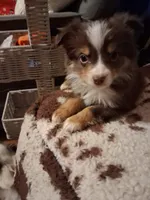 processed/c2c54c2a-48f7-4e45-97d7-1c1098c2eda4/listing/8ebacfe1-1718-4953-b4bd-27ed7c1b8530/c1aee156-62ed-4127-8e06-aa2fc764c2b2