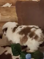 processed/c2c54c2a-48f7-4e45-97d7-1c1098c2eda4/listing/c2a4d8de-548c-43a9-9d9a-a9212f194102/9088df0f-0e27-421e-be12-79ecdc838828