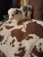 processed/c2c54c2a-48f7-4e45-97d7-1c1098c2eda4/listing/c2a4d8de-548c-43a9-9d9a-a9212f194102/fb6b19cd-4d5b-4af0-9d38-c563ea348b03