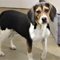 processed/c2ca64cd-7d1a-49ac-bb64-167e4e4a37c7/facility/0f69ab44-3134-416e-91c2-7b2d2a151b3f