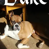 processed/c2ca64cd-7d1a-49ac-bb64-167e4e4a37c7/facility/7d038a09-91cc-45dd-bab7-e407adaaf80c