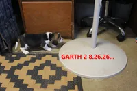 Garth, a male Beagle for sale in Frontier, MI – 2 of 3