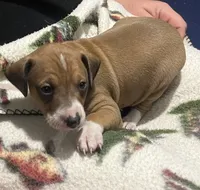 processed/c2d1136c-aa90-42d6-ba21-d17fc88df52f/listing/bb12fd7e-6beb-4951-817d-4b635534b785/15814e2c-dd64-4f00-9681-114d2c4f29b0