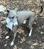 processed/c2d1136c-aa90-42d6-ba21-d17fc88df52f/listing/bb12fd7e-6beb-4951-817d-4b635534b785/2c9b5e91-6114-416d-ac0e-0b65947fee97