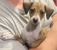 processed/c2d1136c-aa90-42d6-ba21-d17fc88df52f/listing/bb12fd7e-6beb-4951-817d-4b635534b785/2e994ec5-c33f-4733-a4a8-b11b97ee49b7