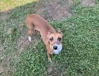 processed/c2d1136c-aa90-42d6-ba21-d17fc88df52f/listing/bb12fd7e-6beb-4951-817d-4b635534b785/31c2126e-11a5-4ad4-b542-09ca6c451e96