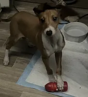 processed/c2d1136c-aa90-42d6-ba21-d17fc88df52f/listing/bb12fd7e-6beb-4951-817d-4b635534b785/6772ff8a-3646-4f6b-a486-69cd08306d63