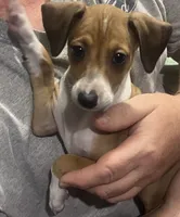 processed/c2d1136c-aa90-42d6-ba21-d17fc88df52f/listing/bb12fd7e-6beb-4951-817d-4b635534b785/7ccb87db-11e3-4e7b-a363-0cf1bf0488dd