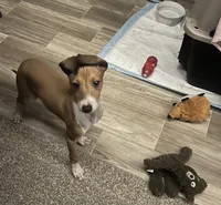 processed/c2d1136c-aa90-42d6-ba21-d17fc88df52f/listing/bb12fd7e-6beb-4951-817d-4b635534b785/f6f94809-e258-42af-8986-61a4a78bf42d