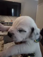 processed/c2d1cf5a-564a-49eb-8de9-037e4c684572/listing/db2f1ad9-0f69-4a2f-af6a-a59323c5ce61/1172e4ad-b68b-4b22-80ab-f9f485857366