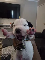 processed/c2d1cf5a-564a-49eb-8de9-037e4c684572/listing/db2f1ad9-0f69-4a2f-af6a-a59323c5ce61/e7491ae7-8a63-4617-9a95-26250b206083