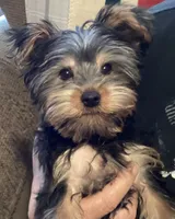 processed/c2d97c18-4846-4218-a20e-bcd6e6c3f32a/listing/1171dab5-3f7a-42b4-bc63-15f286eef5db/e8482691-f6a7-4ff9-b3d3-12ee2b93f841