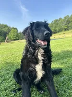 processed/c2dedc1c-14b1-4249-8f74-b484e948cf7a/listing/9c763a38-972d-4f91-adb8-f3aaa3524a54/d2d51370-d88e-4edb-95e3-7de904ccc32f