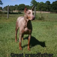 processed/c2e0ece3-9bcc-4b53-8101-31f6b4c41f99/facility/2c7051a4-37da-461b-9e98-92108ff03eef