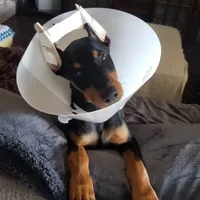 processed/c2e0ece3-9bcc-4b53-8101-31f6b4c41f99/facility/9385e149-e552-4daf-bdcb-9edddbcb0810