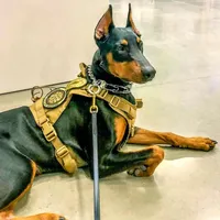 processed/c2e0ece3-9bcc-4b53-8101-31f6b4c41f99/facility/b4ef483a-3e43-4911-946c-a12f174a2fa7