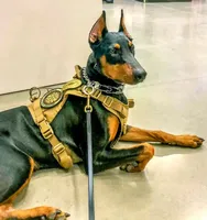 processed/c2e0ece3-9bcc-4b53-8101-31f6b4c41f99/facility/b4ef483a-3e43-4911-946c-a12f174a2fa7