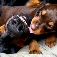 processed/c2e0ece3-9bcc-4b53-8101-31f6b4c41f99/facility/b669c2f6-6e71-4939-a273-5d073426989c