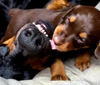 processed/c2e0ece3-9bcc-4b53-8101-31f6b4c41f99/facility/b669c2f6-6e71-4939-a273-5d073426989c