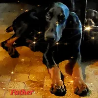 processed/c2e0ece3-9bcc-4b53-8101-31f6b4c41f99/facility/f15d2c3c-5037-4012-9a86-348d2eb00db4