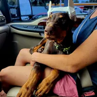 processed/c2e0ece3-9bcc-4b53-8101-31f6b4c41f99/facility/f51e0560-e9c1-4420-b3a0-395acc1d28b9