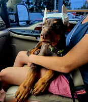 processed/c2e0ece3-9bcc-4b53-8101-31f6b4c41f99/facility/f51e0560-e9c1-4420-b3a0-395acc1d28b9