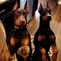 processed/c2e0ece3-9bcc-4b53-8101-31f6b4c41f99/facility/fc9db8a1-0738-401e-bf65-408b29d8345b